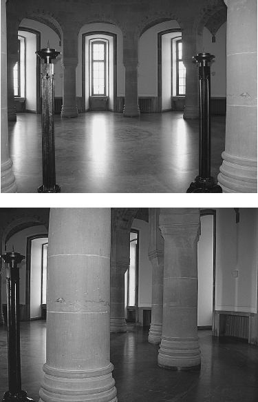 Иллюстрация к книге — Орден СС. Иезуиты империи. О чем не принято говорить [_11.jpg]