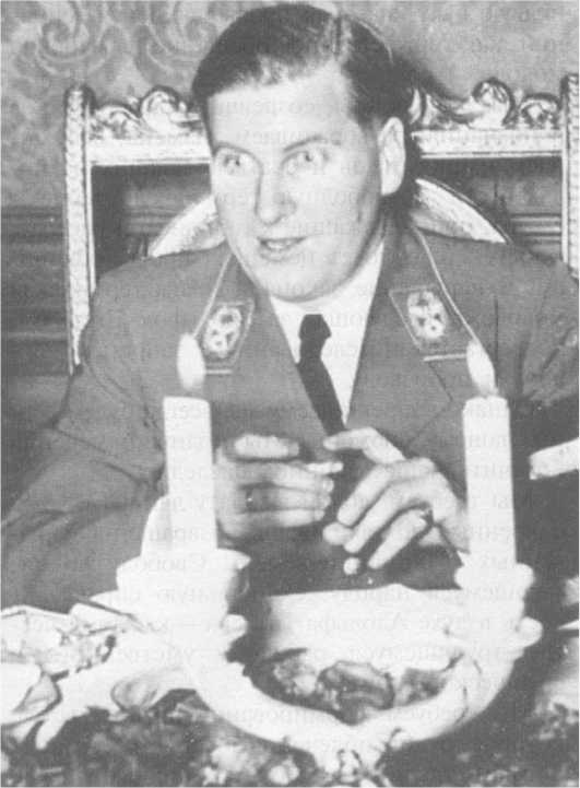 Иллюстрация к книге — Третий Рейх. Гитлер-югенд [i_024.jpg]