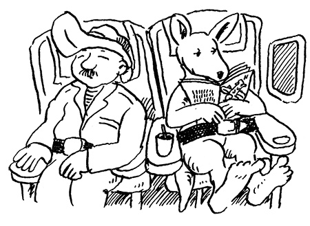 Иллюстрация к книге — Субастик, дядюшка Элвин и кенгуру [i_043.jpg]