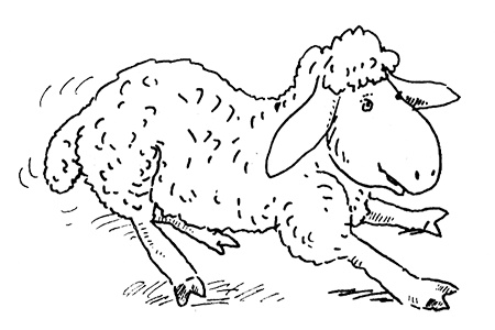 Иллюстрация к книге — Субастик, дядюшка Элвин и кенгуру [i_106.jpg]