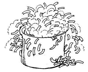 Иллюстрация к книге — Субастик, дядюшка Элвин и кенгуру [i_121.jpg]