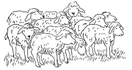 Иллюстрация к книге — Субастик, дядюшка Элвин и кенгуру [i_142.jpg]