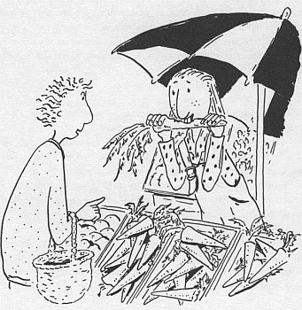 Иллюстрация к книге — Господин Белло и волшебный эликсир [_25.jpg]