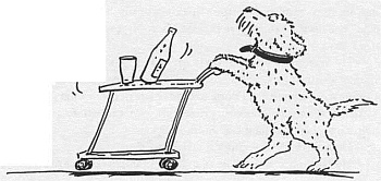 Иллюстрация к книге — Господин Белло и волшебный эликсир [_37.jpg]