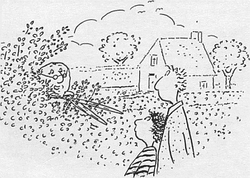 Иллюстрация к книге — Господин Белло и волшебный эликсир [_43.jpg]