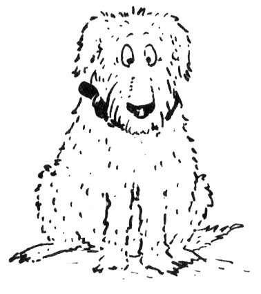 Иллюстрация к книге — Новости о господине Белло [i_001.jpg]