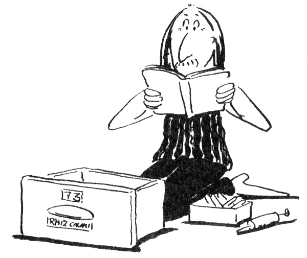 Иллюстрация к книге — Новости о господине Белло [i_029.jpg]