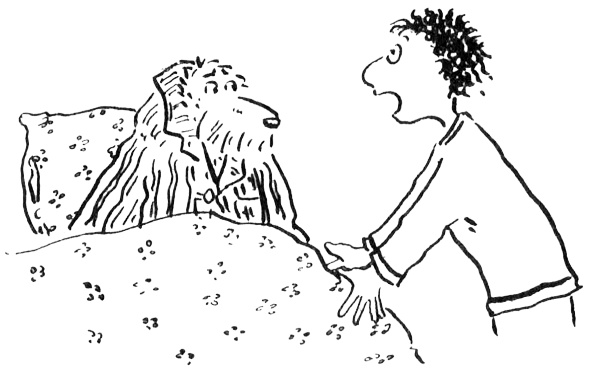 Иллюстрация к книге — Новости о господине Белло [i_035.jpg]