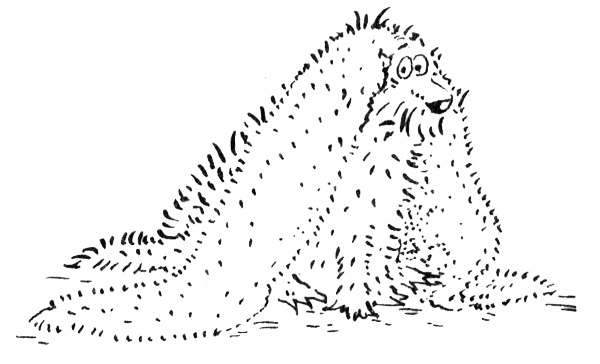 Иллюстрация к книге — Новости о господине Белло [i_042.jpg]