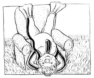 Иллюстрация к книге — Субастик в опасности [i_021.jpg]