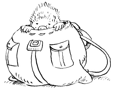 Иллюстрация к книге — Субастик в опасности [i_055.jpg]