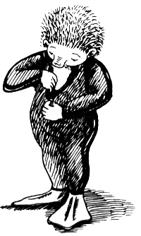 Иллюстрация к книге — Волшебные капли для Субастика [i_059.jpg]