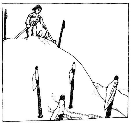 Иллюстрация к книге — Волшебные капли для Субастика [i_060.jpg]