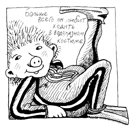 Иллюстрация к книге — Новые веснушки для Субастика [i_003.jpg]