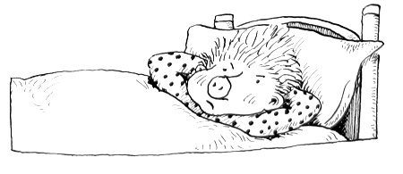 Иллюстрация к книге — Новые веснушки для Субастика [i_010.jpg]