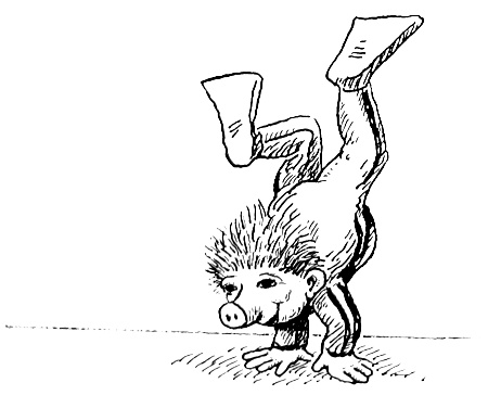 Иллюстрация к книге — Новые веснушки для Субастика [i_014.jpg]