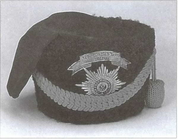 Иллюстрация к книге — Донское казачество в войнах начала XX века [i_035.jpg]