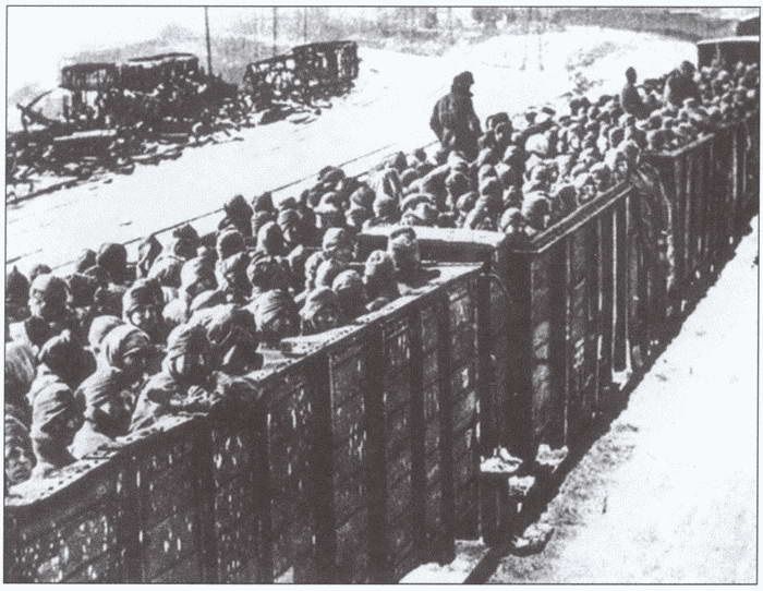 Иллюстрация к книге — Плен. Жизнь и смерть в немецких лагерях [i_014.jpg]