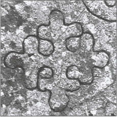 Иллюстрация к книге — Варяжская гвардия Византии [i_028.jpg]