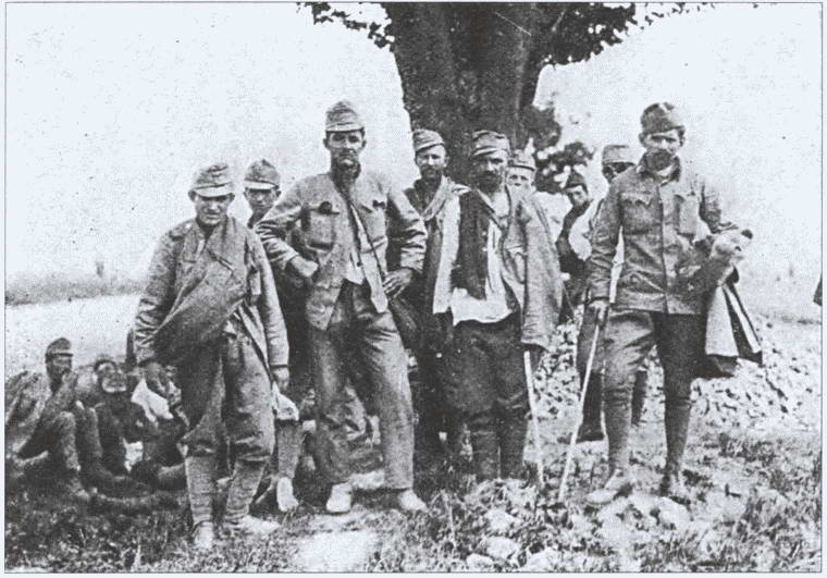 Иллюстрация к книге — Захвачены в бою. Трофеи русской армии в Первой мировой [i_013.jpg]