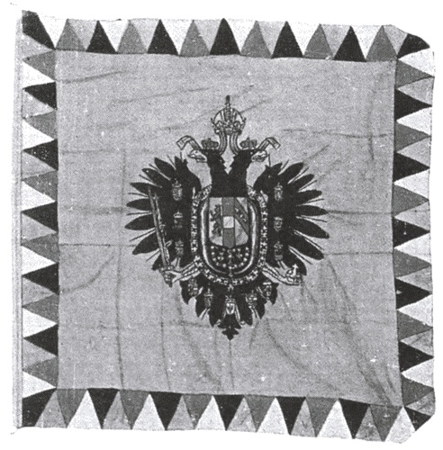 Иллюстрация к книге — Захвачены в бою. Трофеи русской армии в Первой мировой [i_031.jpg]