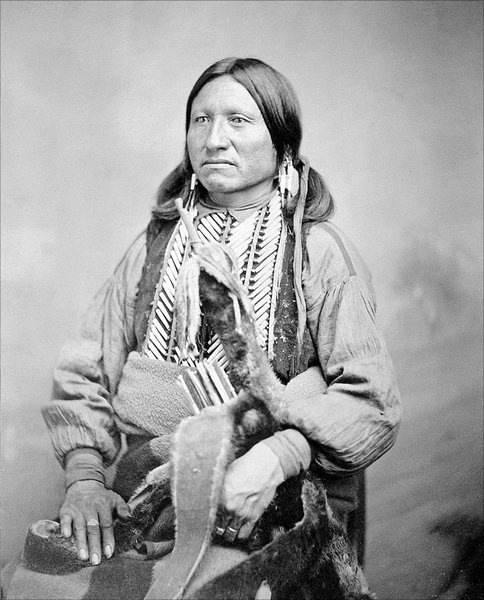 Иллюстрация к книге — Завоевание Дикого Запада. «Хороший индеец – мертвый индеец» [i_061.jpg]