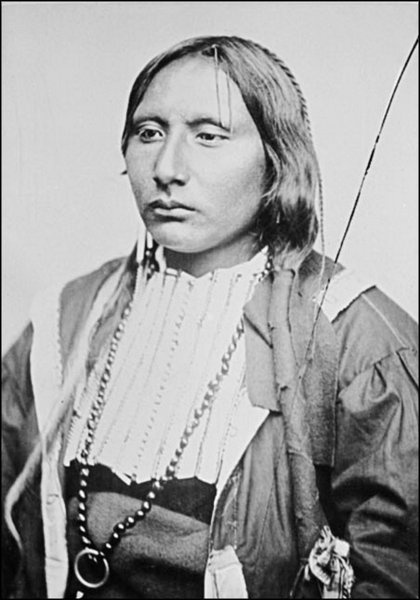 Иллюстрация к книге — Завоевание Дикого Запада. «Хороший индеец – мертвый индеец» [i_065.jpg]