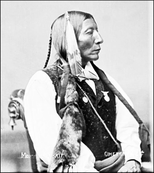 Иллюстрация к книге — Завоевание Дикого Запада. «Хороший индеец – мертвый индеец» [i_094.jpg]