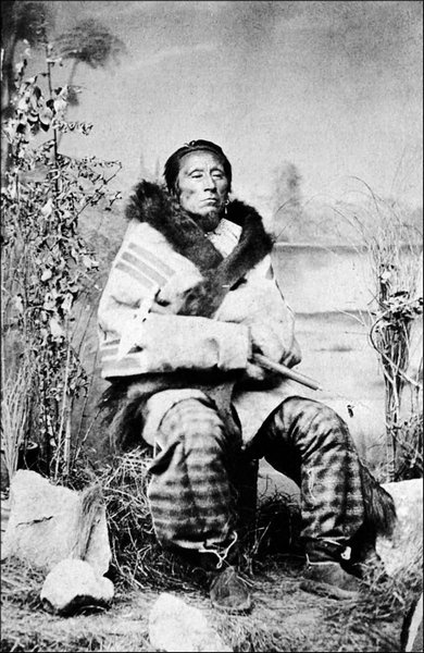 Иллюстрация к книге — Завоевание Дикого Запада. «Хороший индеец – мертвый индеец» [i_102.jpg]