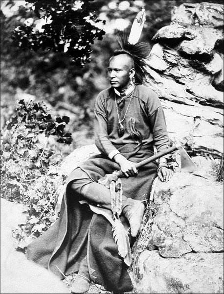 Иллюстрация к книге — Завоевание Дикого Запада. «Хороший индеец – мертвый индеец» [i_115.jpg]