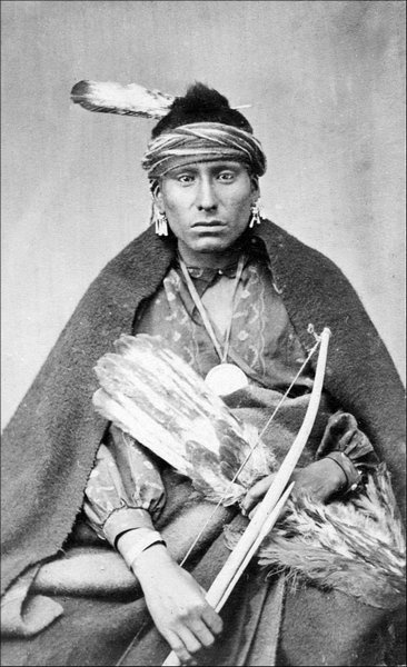 Иллюстрация к книге — Завоевание Дикого Запада. «Хороший индеец – мертвый индеец» [i_128.jpg]