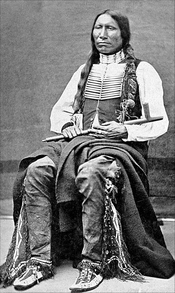 Иллюстрация к книге — Завоевание Дикого Запада. «Хороший индеец – мертвый индеец» [i_137.jpg]