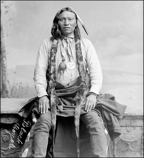 Иллюстрация к книге — Завоевание Дикого Запада. «Хороший индеец – мертвый индеец» [i_155.jpg]