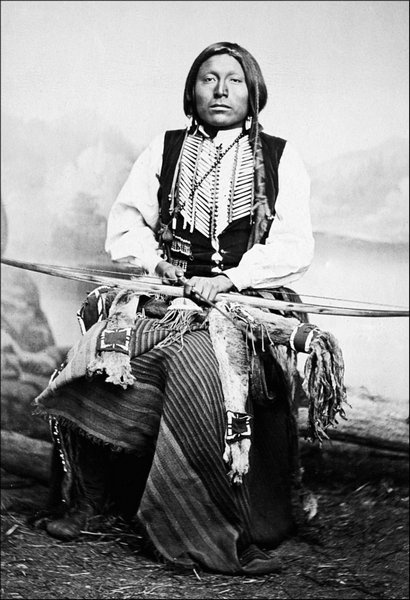 Иллюстрация к книге — Завоевание Дикого Запада. «Хороший индеец – мертвый индеец» [i_177.jpg]