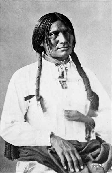 Иллюстрация к книге — Завоевание Дикого Запада. «Хороший индеец – мертвый индеец» [i_248.jpg]