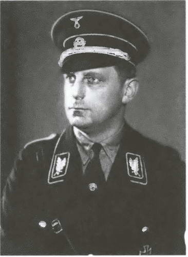 Иллюстрация к книге — «Советские немцы» и другие фольксдойче в войсках СС [i_008.jpg]