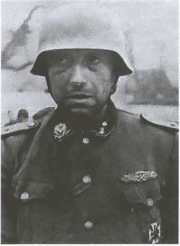 Иллюстрация к книге — «Советские немцы» и другие фольксдойче в войсках СС [i_051.jpg]