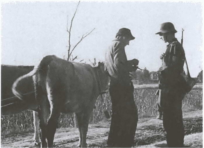 Иллюстрация к книге — «Советские немцы» и другие фольксдойче в войсках СС [i_083.jpg]