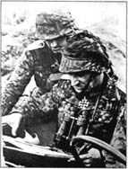 Иллюстрация к книге — 10-я танковая дивизия СС &quot;Фрундсберг&quot; [p082.jpg]