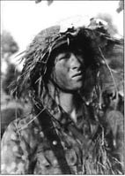 Иллюстрация к книге — 10-я танковая дивизия СС &quot;Фрундсберг&quot; [p112.jpg]