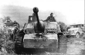 Иллюстрация к книге — 10-я танковая дивизия СС &quot;Фрундсберг&quot; [p220.jpg]