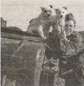 Иллюстрация к книге — 1943. Дивизия СС &quot;Рейх&quot; на Восточном фронте [i_006.jpg]