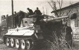 Иллюстрация к книге — 1943. Дивизия СС &quot;Рейх&quot; на Восточном фронте [i_030.jpg]