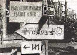 Иллюстрация к книге — 1943. Дивизия СС &quot;Рейх&quot; на Восточном фронте [i_059.jpg]