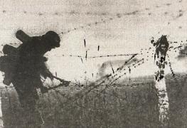 Иллюстрация к книге — 1943. Дивизия СС &quot;Рейх&quot; на Восточном фронте [i_091.jpg]