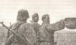 Иллюстрация к книге — 1943. Дивизия СС &quot;Рейх&quot; на Восточном фронте [i_134.jpg]