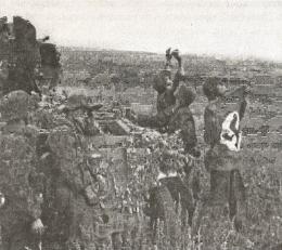 Иллюстрация к книге — 1943. Дивизия СС &quot;Рейх&quot; на Восточном фронте [i_139.jpg]