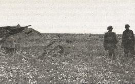 Иллюстрация к книге — 1943. Дивизия СС &quot;Рейх&quot; на Восточном фронте [i_147.jpg]