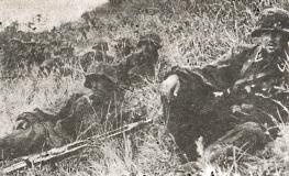 Иллюстрация к книге — 1943. Дивизия СС &quot;Рейх&quot; на Восточном фронте [i_153.jpg]