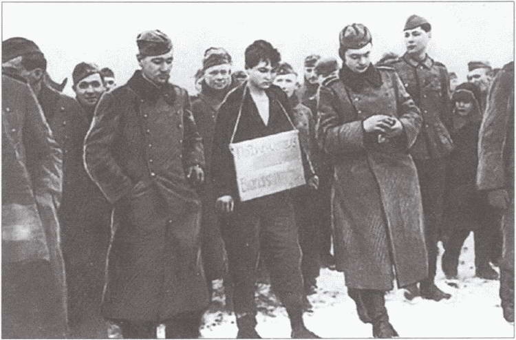 Иллюстрация к книге — Забытые герои войны [i_024.jpg]